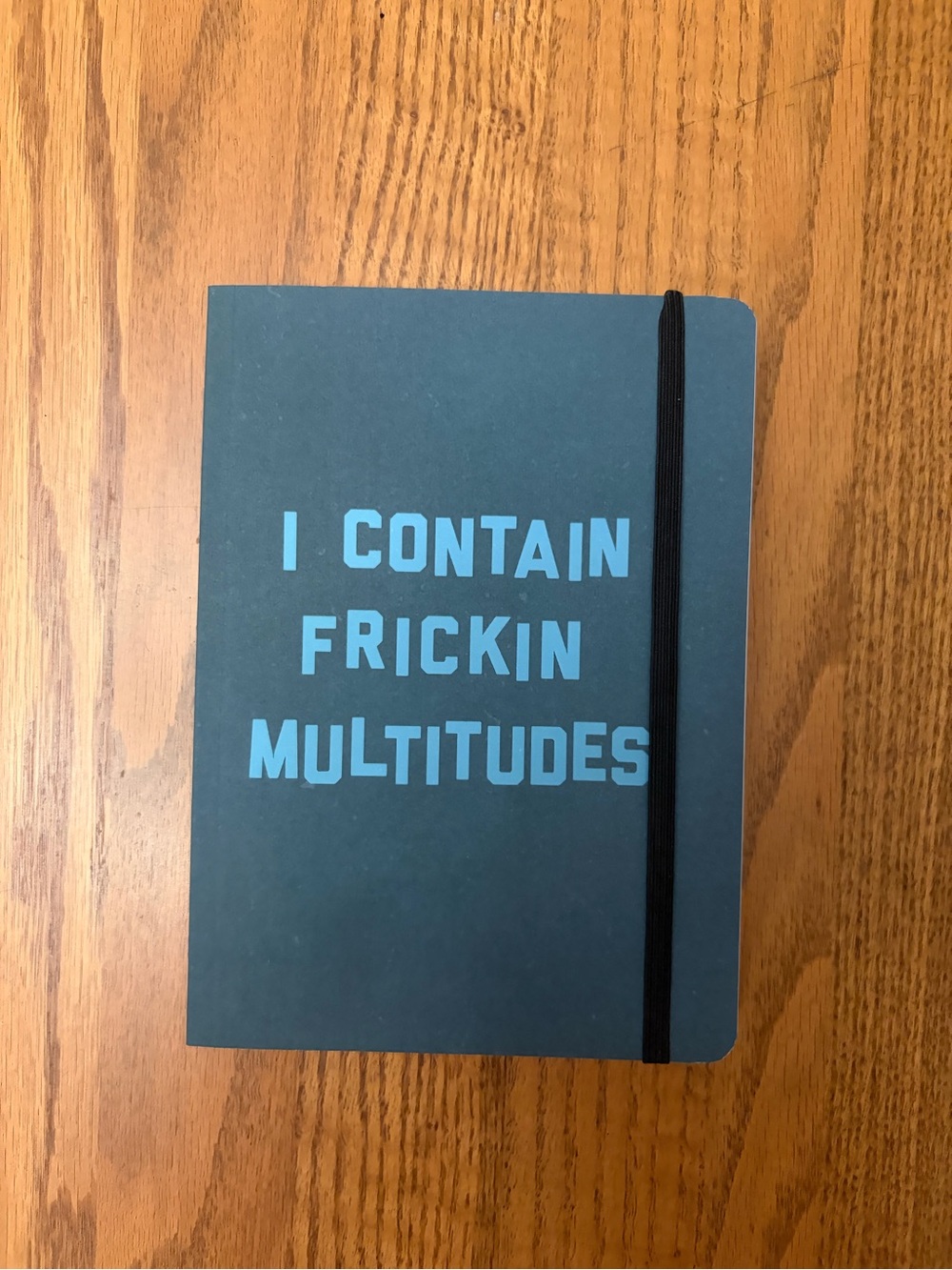 John Proctor is the Villain Notebook